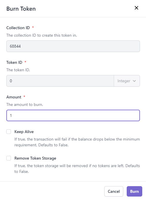 Burn Token Form